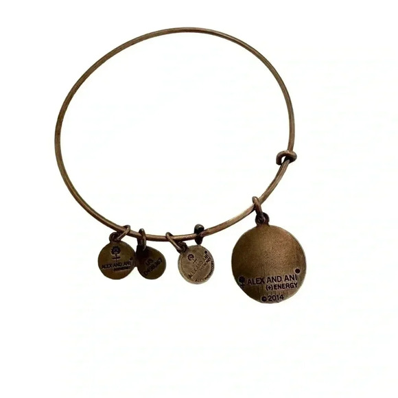 Alex and Ani Evil Eye bracelet Gold tone - Picture 4 of 5